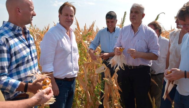 Más de 1.600 productores entrerrianos se adhirieron a la emergencia por sequía y podrán acceder a aportes