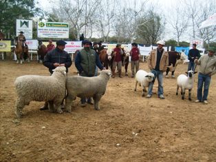 Del 26 al 28 de agosto 92º Exposición Agrícola Ganadera y la 44º Muestra Comercial e industrial.