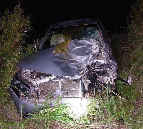 Automovil colisiono un vacuno en la Ruta 6