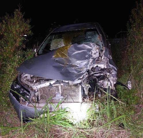 Automovil colisiono un vacuno en la Ruta 6