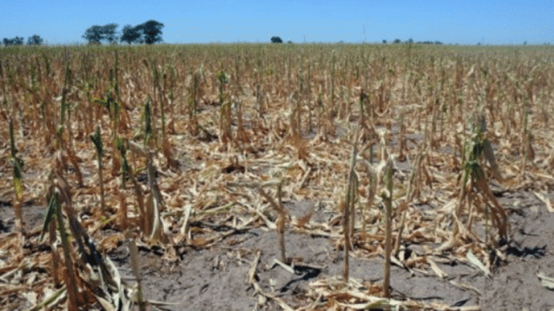 Bahillo evaluó medidas por la sequía con ministros provinciales y la Mesa de Enlace