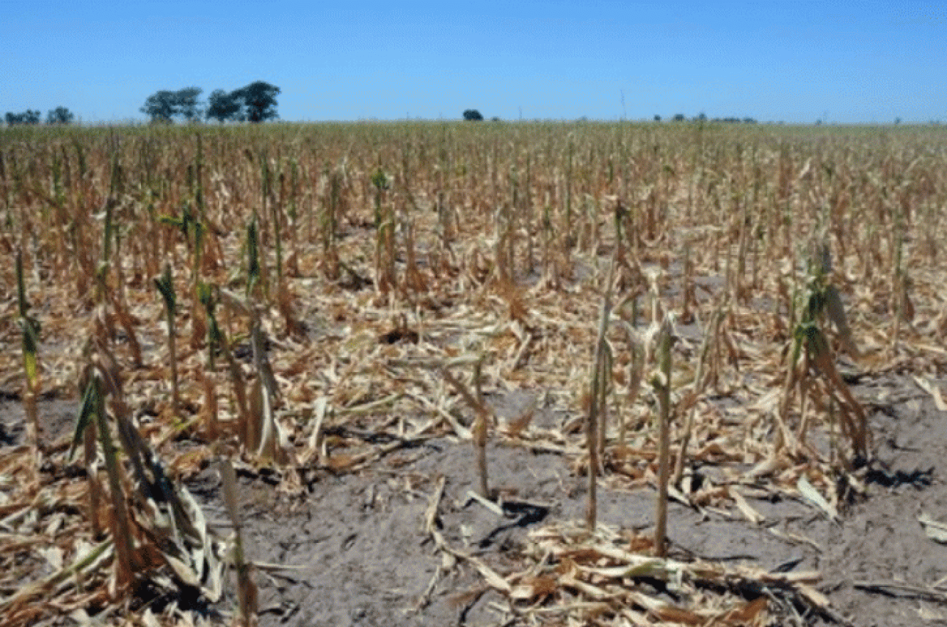 Bahillo evaluó medidas por la sequía con ministros provinciales y la Mesa de Enlace