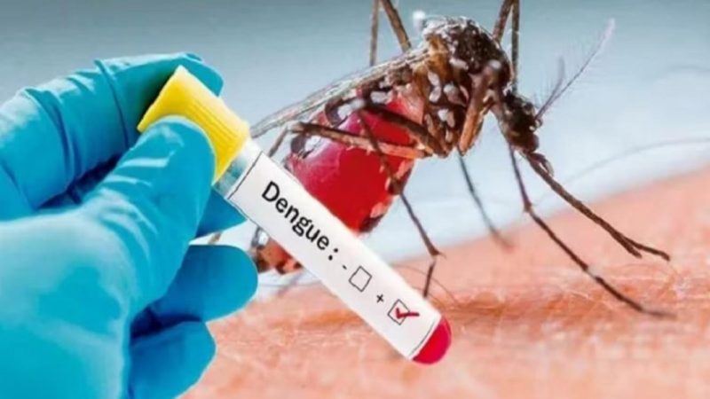 Siguen aumentando los casos de dengue en Entre Ríos: suman 214