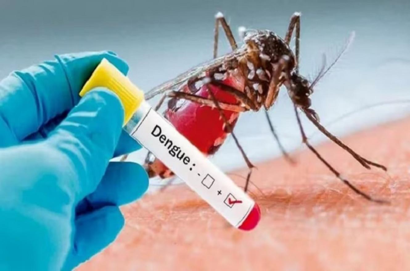 Siguen aumentando los casos de dengue en Entre Ríos: suman 214