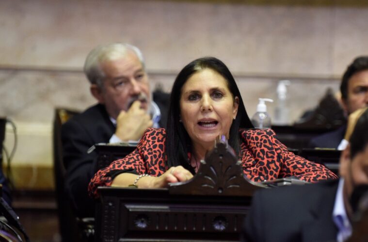 Lena impulsa un pedido de informes para saber cuántos entrerrianos reciben un plan social