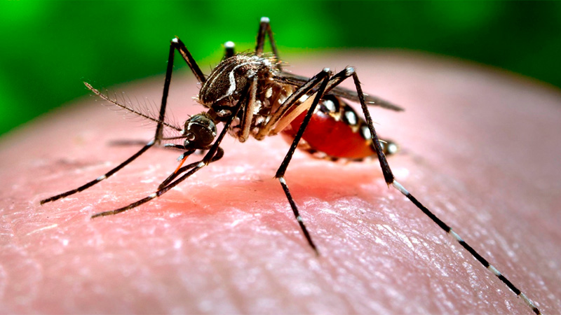 Mujer fallece por dengue en Paraná