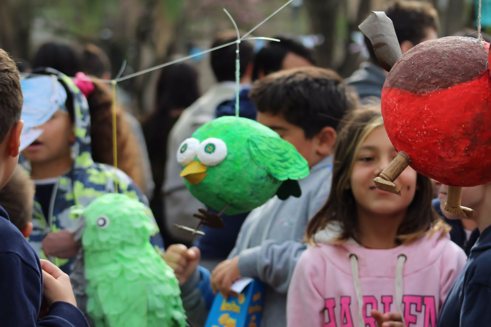 Se realizan actividades en el marco de la Fiesta Provincial de las Aves