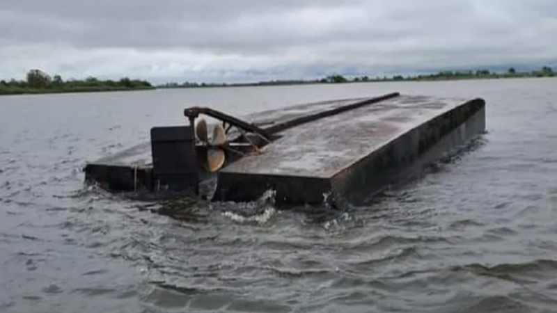 Volcó en el río Paraná una embarcación que trasladaba ganado: hay una persona desaparecida