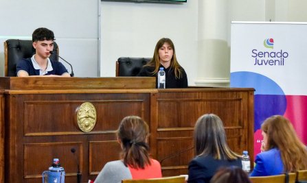 Escuela Secundaria N°22 “Infanta Mendocina” de Sir Leonard representa al Departamento La Paz en el Senado juvenil