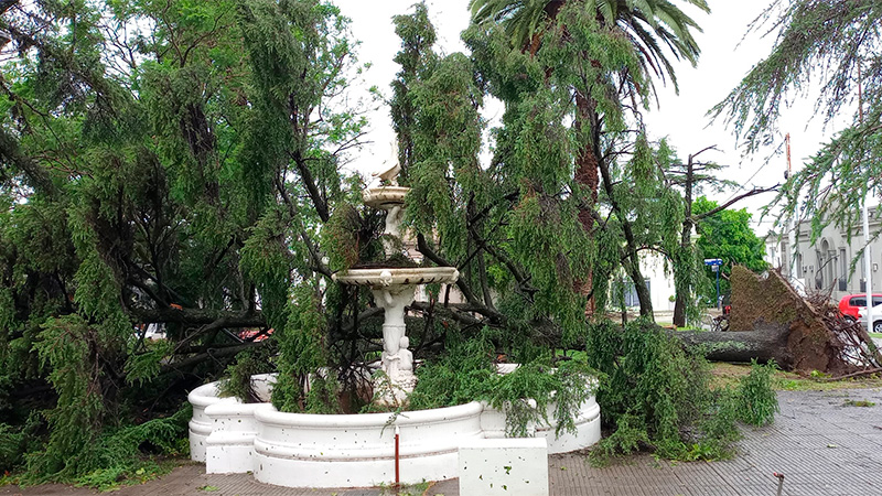 Asisten a afectados por temporal en Diamante: cayeron más de 200 árboles