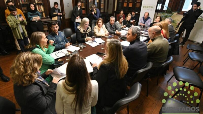 Diputados analizaron los proyectos de Ética Pública y de Transición de Gobierno