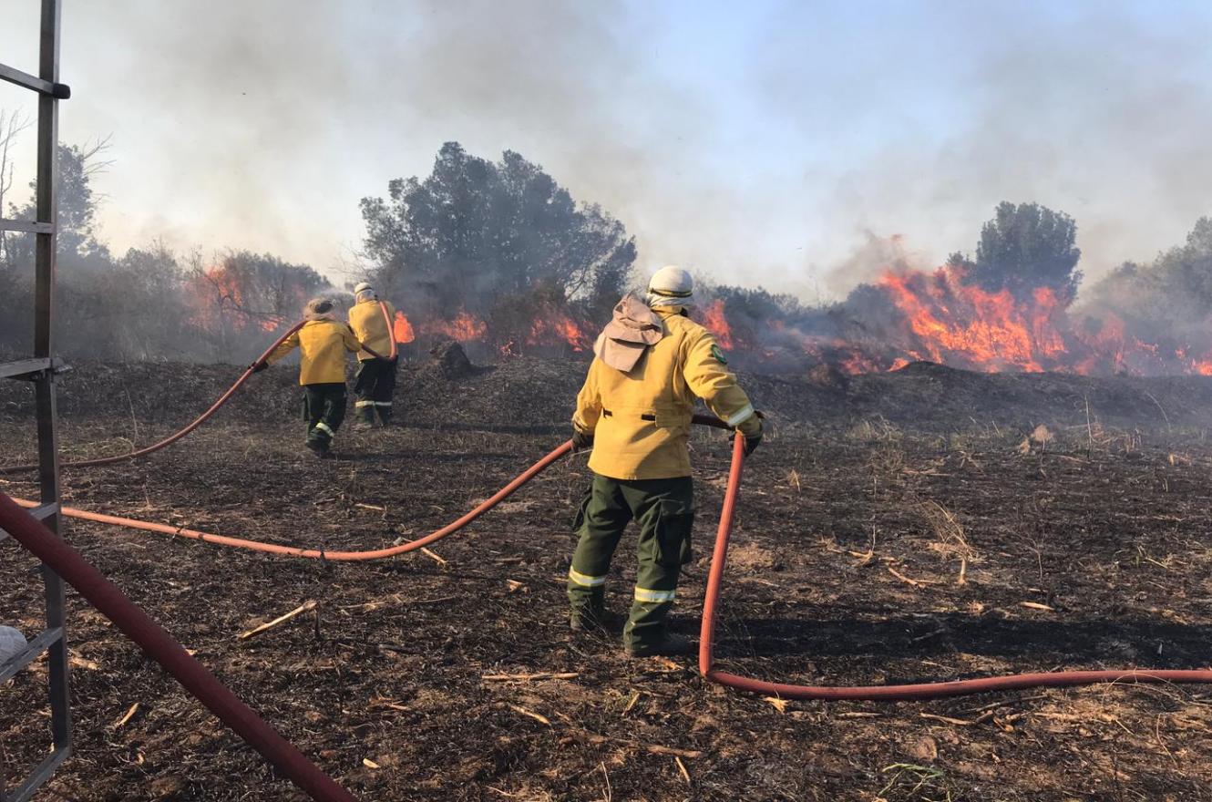 Se quemaron 140 hectáreas sobre ruta 12, cerca de La Paz
