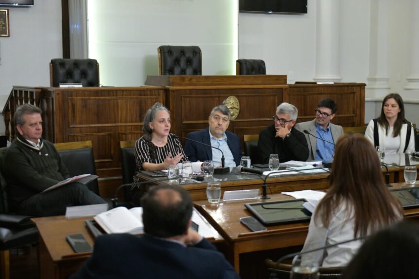 Senadores escucharon las opiniones de instituciones y ambientalistas para el proyecto del RIGI y el RINI en Entre Ríos