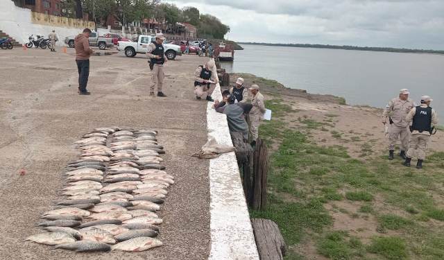 Prefectura decomisó más de 100 especies de pescado en Entre ríos