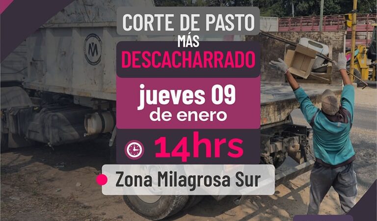 El Municipio informó tareas de prevención del dengue