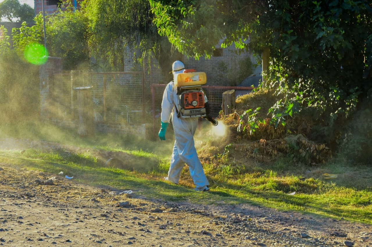 Se realizan tareas de fumigación y corte de pasto