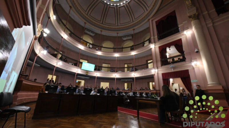 Diputados sancionó un proyecto de ley que deroga artículos del Código Fiscal