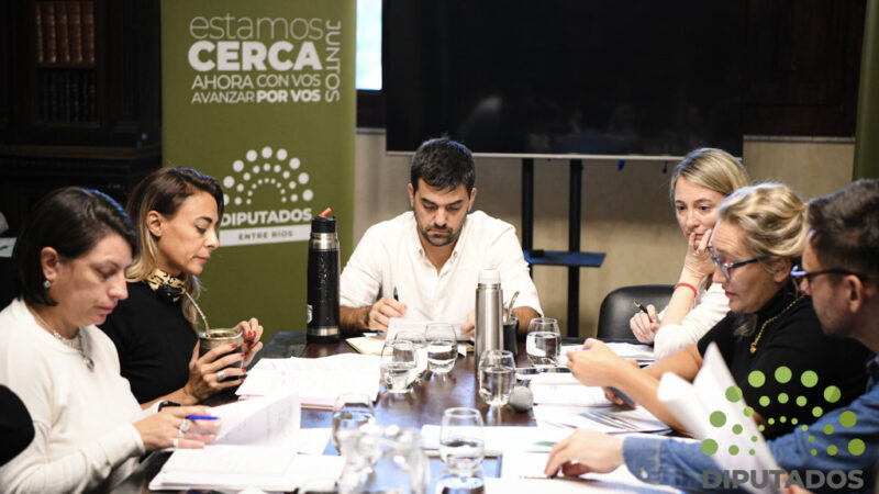 Diputados: Avanzaron en el debate de la ley de mecenazgo deportivo