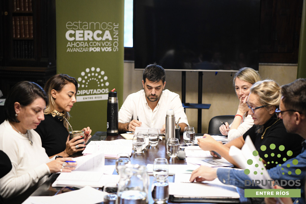 Diputados: Avanzaron en el debate de la ley de mecenazgo deportivo