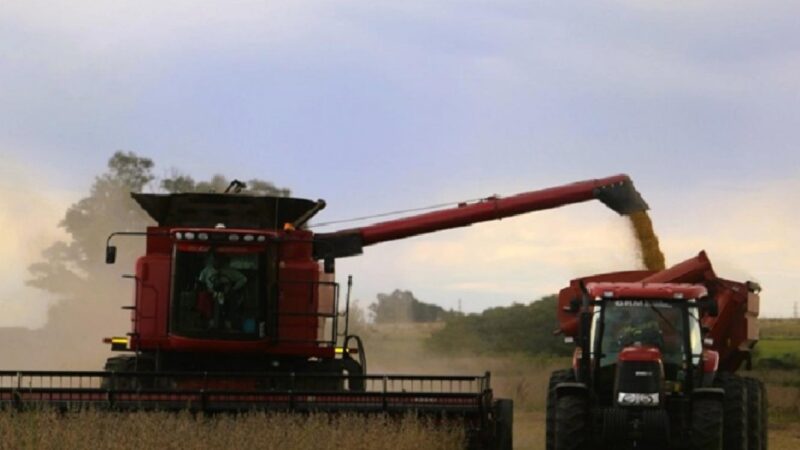 FAA Entre Ríos: “Volver al porcentaje de retenciones representa la quiebra de productores”
