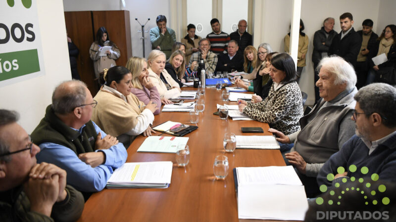 Diputados avanzaron en el debate de los proyectos de consorcios camineros