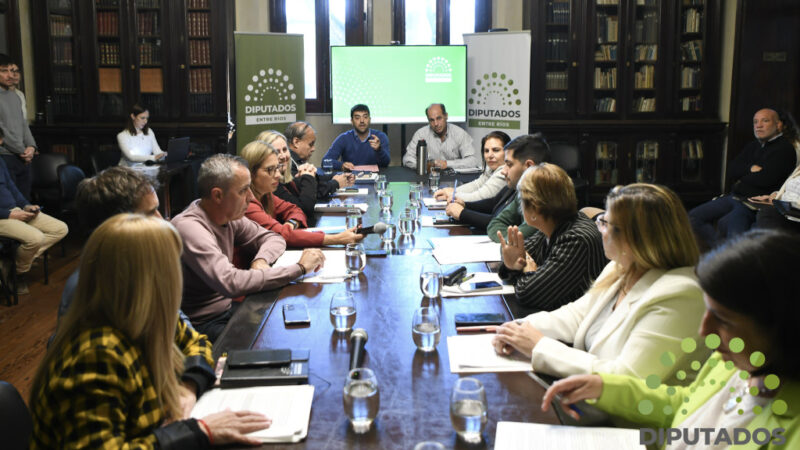 El proyecto de ley de sostenibilidad de la deuda pública provincial obtuvo dictamen de comisión