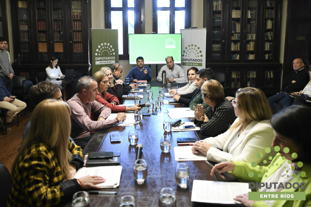 El proyecto de ley de sostenibilidad de la deuda pública provincial obtuvo dictamen de comisión