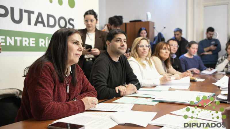 La comisión de Salud Pública trató proyectos vinculados con los derechos de los pacientes