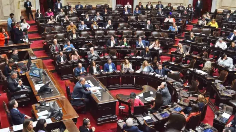 Diputados retoma el debate sobre las presuntas coimas en la Agencia Nacional de Discapacidad