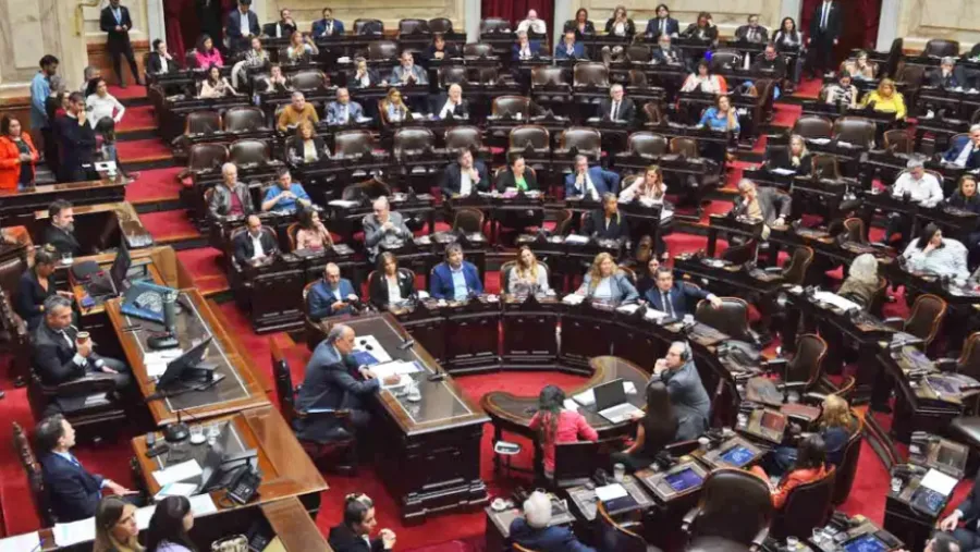 Diputados retoma el debate sobre las presuntas coimas en la Agencia Nacional de Discapacidad