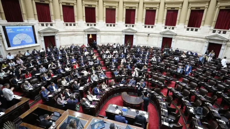 Diputados declaró la nulidad del decreto que suspendía la Ley de Emergencia en Discapacidad