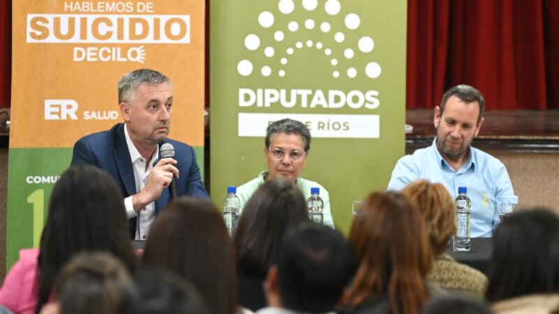 Diputados transfirió cargos al Ejecutivo para fortalecer el área de Salud Mental