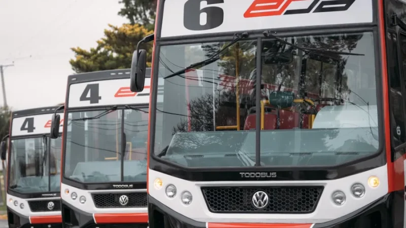 La Provincia habilitó el boleto gratuito para docentes en el transporte urbano