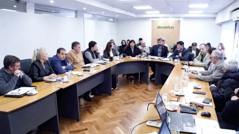 Reforma previsional: el Senado inicia la ronda de exposiciones para analizar el proyecto del Ejecutivo