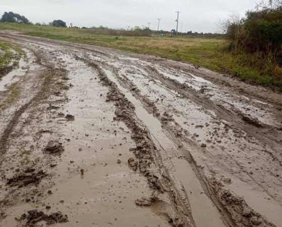 Vecinos de una escuela Rural reclaman mejoras en el acceso desde la Ruta 12